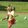 Krajský přebor - sezóna 2009-2010 - Prachatice